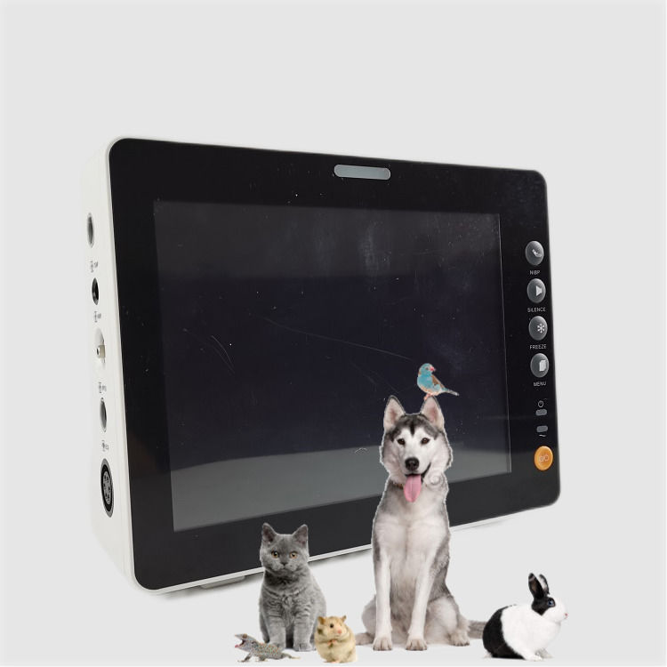 Langlebiger 8-Zoll-Vitalzeichenmonitor für Hunde, Katzen und Schafe – Hervorragende Qualität