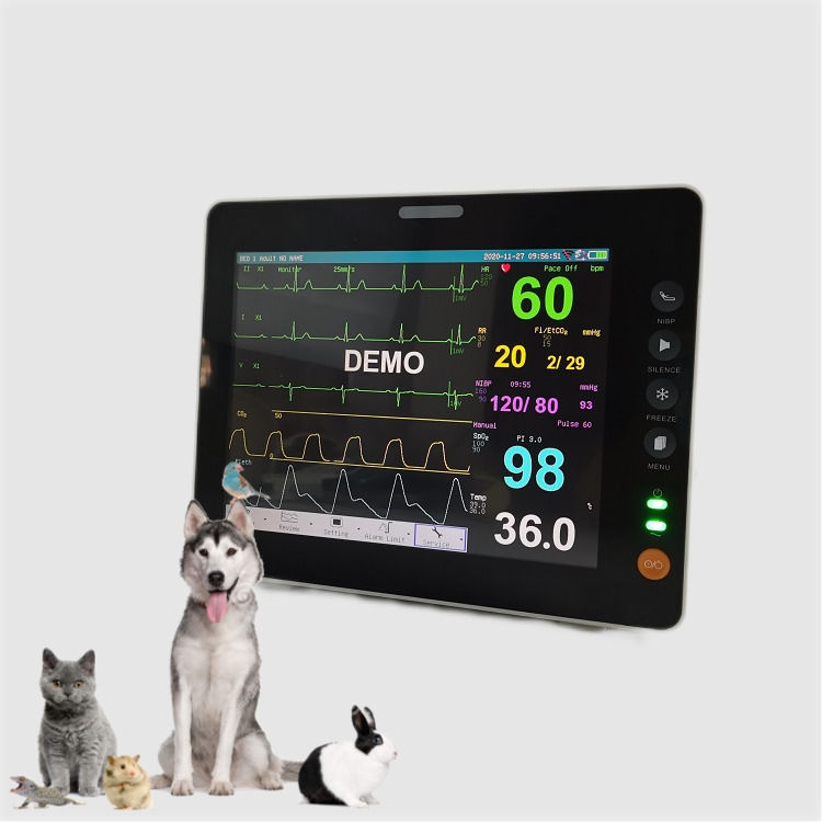 8 Zoll Vital Signs Monitor Langlebiger Mini-Size TFT-Display Veterinär Handheld Tiermonitor Nutzung Vital Signs