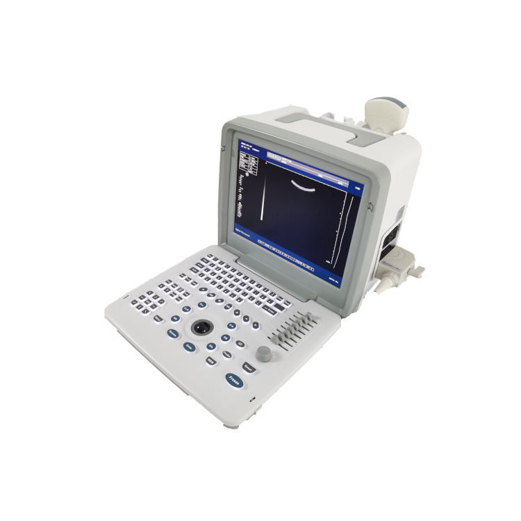 Metal See Laptop B W Portable Schwangerschaft Doppler-Sonde Scanner Radio Fetal Ultraschall-Maschine für Baby