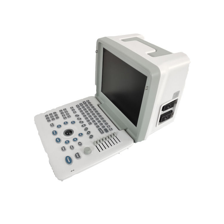 Metal See Laptop B W Portable Schwangerschaft Doppler-Sonde Scanner Radio Fetal Ultraschall-Maschine für Baby