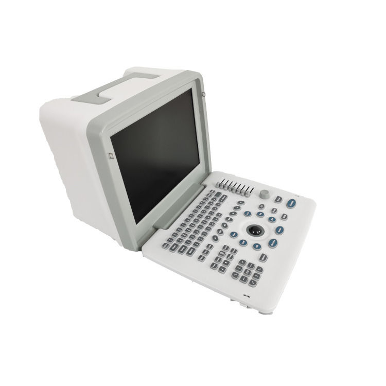 Metal See Laptop B W Portable Schwangerschaft Doppler-Sonde Scanner Radio Fetal Ultraschall-Maschine für Baby