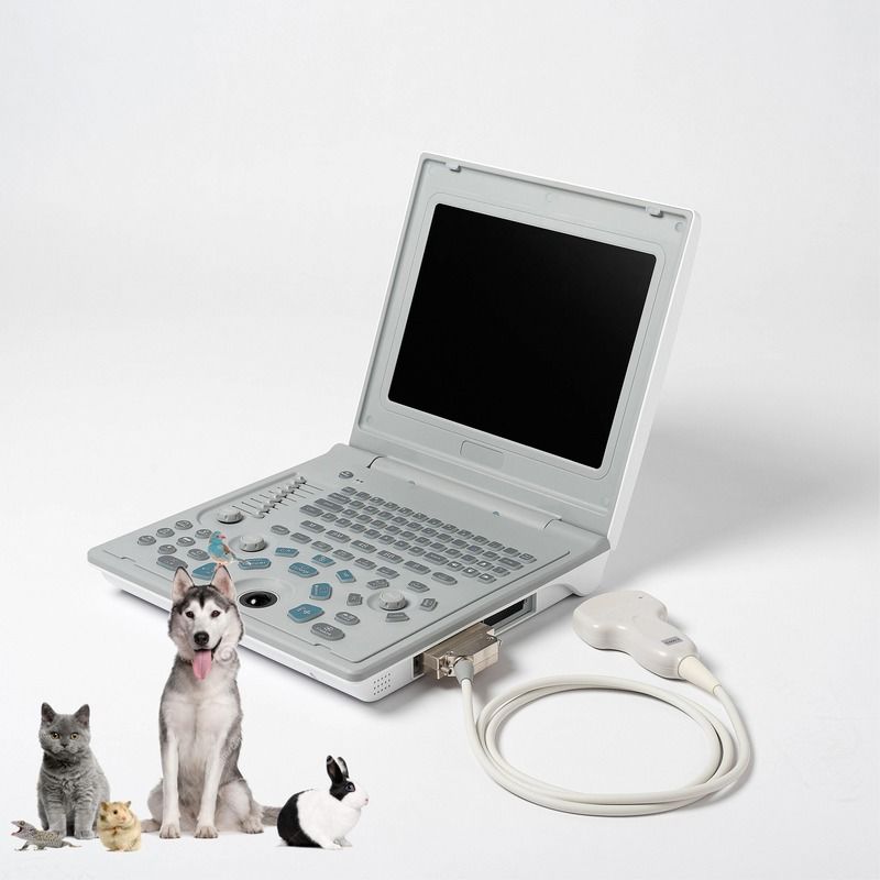 Krankenhaus Außendiagnostische lineare Ultraschallmaschine Hund Ultraschallmaschine Laptop Kuh Schwangerschaft Schaf Scanner