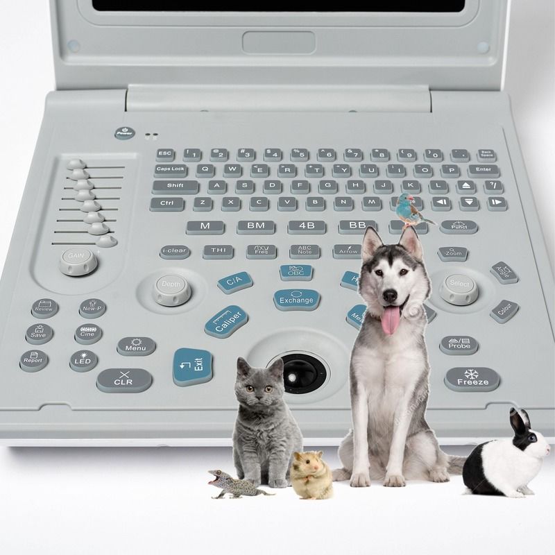 Krankenhaus Außendiagnostische lineare Ultraschallmaschine Hund Ultraschallmaschine Laptop Kuh Schwangerschaft Schaf Scanner