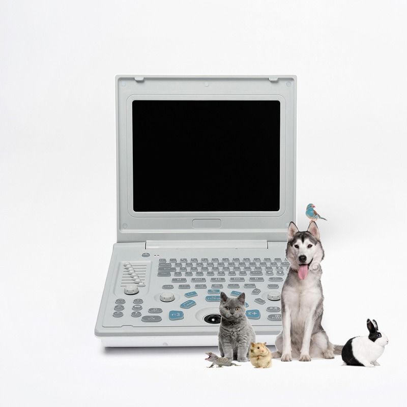 Krankenhaus Außendiagnostische lineare Ultraschallmaschine Hund Ultraschallmaschine Laptop Kuh Schwangerschaft Schaf Scanner