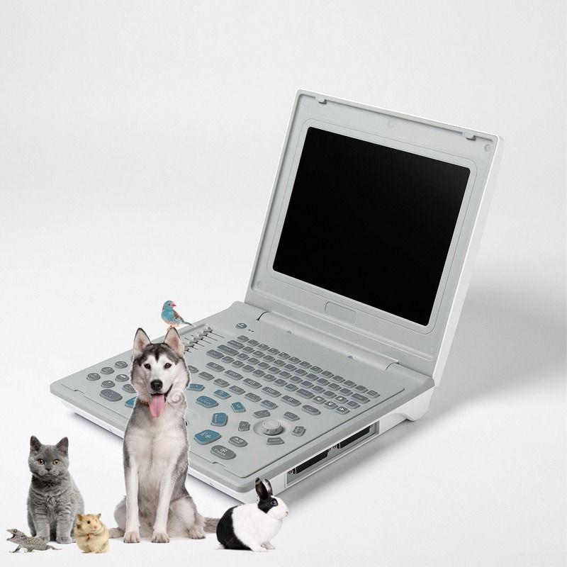 Krankenhaus Außendiagnostische lineare Ultraschallmaschine Hund Ultraschallmaschine Laptop Kuh Schwangerschaft Schaf Scanner