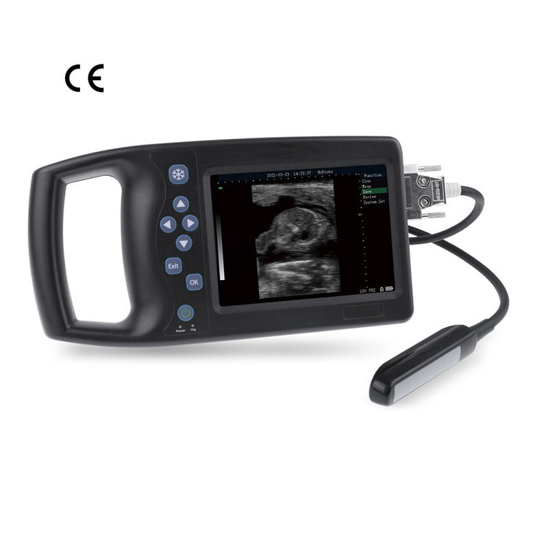 B Veterinär Ultraschall Schaf Hund Pferd Handheld Schweine Angst Schwangerschaft Tiere Mobiles Gerät Veterinär Ultraschallgerät Scanner