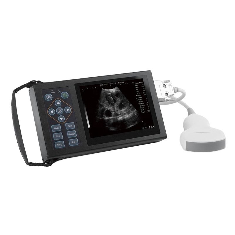 Tragbares Handheld-Ultraschallgerät für Kühe/Pferde/Tiere E20 B Ultraschall Veterinär Veterinär Ultraschall für Tierärzte