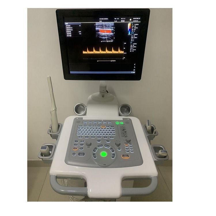 China Cart Digital Farb-Doppler Ultraschall Medizinische Ultraschallmaschine Ultraschall Krankenhaus Außen