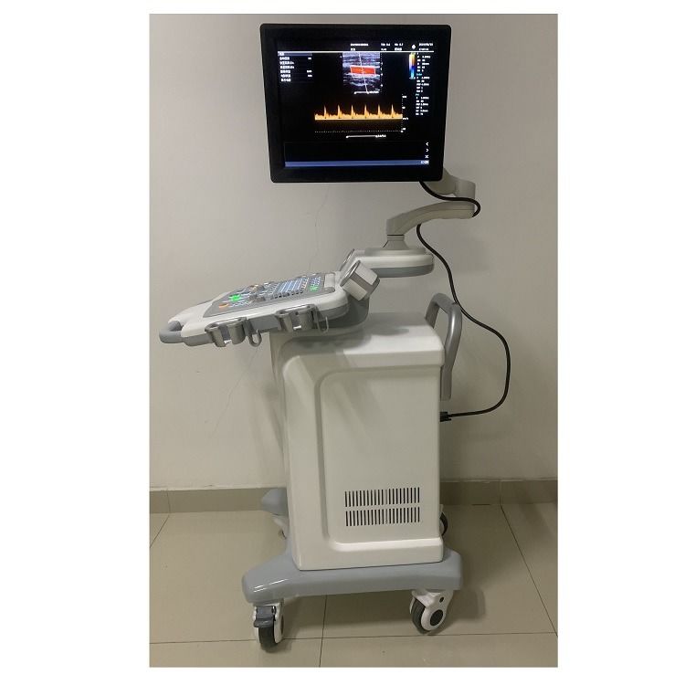 China Cart Digital Farb-Doppler Ultraschall Medizinische Ultraschallmaschine Ultraschall Krankenhaus Außen