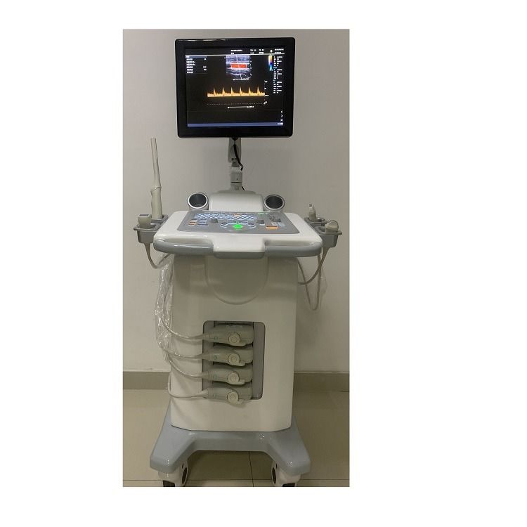 China Cart Digital Farb-Doppler Ultraschall Medizinische Ultraschallmaschine Ultraschall Krankenhaus Außen